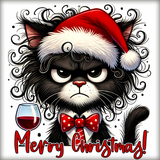 DTF Grumpy Christmas Cat